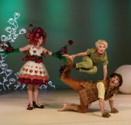 A dancer dressed as a rose bush. The Little Prince is jumping over a dancer on the floor.